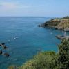 Una costa rocciosa con mare blu e vegetazione rigogliosa in primo piano.