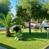 Giardino con alberi e palme vicino a un edificio.